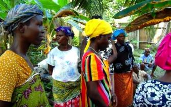Supplementary livelihoods: Beekeeping